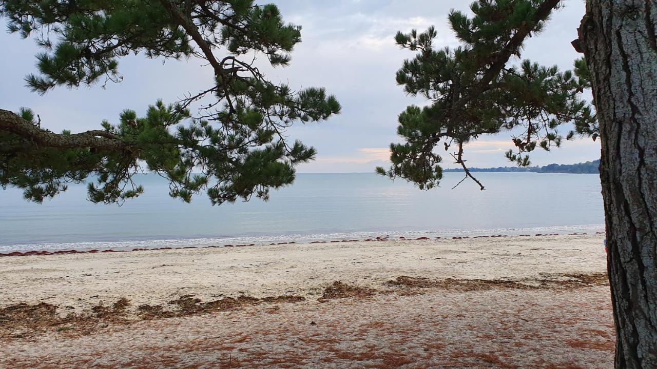 Vacances O Cap Coz - Jardin Vue Mer Et Piscine - Residence Cap Azur 포에낭 외부 사진